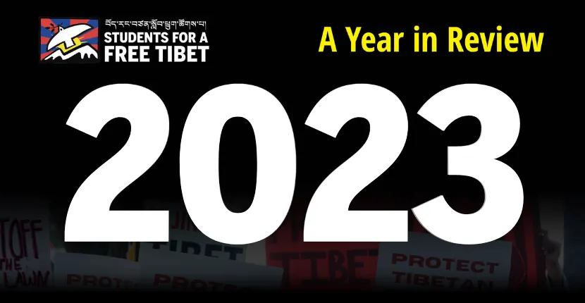 A Year In Review: 2023